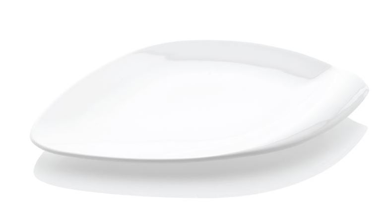 Flat Plate